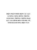 BIỆN PHÁP PHỐI hợp các lực LƯỢNG CỘNG ĐỒNG TRONG GIÁO dục PHÒNG CHỐNG bạo lực GIA ĐÌNH đối với PHỤ nữ, TỈNH hải DƯƠNG HIỆN NAY 