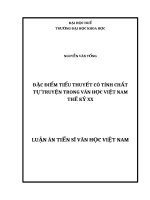 ĐẶC điểm của TIỂU THUYẾT có TÍNH CHẤT tự TRUYỆN TRONG văn học VIỆT NAM THẾ kỷ XX