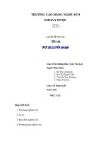 Dược liệu có chứa saponin