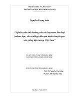 nghiên cứu ảnh hưởng của các hạt nano kim loại (coban, bạc, sắt và đồng) đến quá trình chuyển gen vào giống đậu tương việt nam