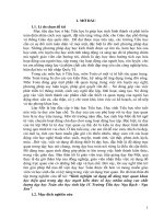 Kinh nghiệm sử dụng đồ dùng trực quan khoa học, hiệu quả trong dạy học mạch kiến thức số học nhằm nâng cao chất lượng dạy học toán cho học sinh lớp 1 