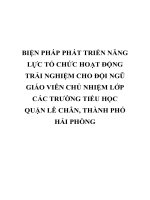BIỆN PHÁP PHÁT TRIỂN NĂNG lực tổ CHỨC HOẠT ĐỘNG TRẢI NGHIỆM CHO đội NGŨ GIÁO VIÊN CHỦ NHIỆM lớp các TRƯỜNG TIỂU học QUẬN lê CHÂN, THÀNH PHỐ hải PHÒNG 