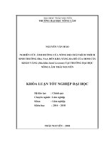 Nghiên cứu ảnh hưởng của nồng độ chất kích thích sinh trưởng IBA, NAA đến khả năng ra rễ của hom cây kháo vàng (machilus bonii lecomte) tại trường đại học nông lâm thái nguyên 