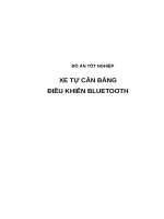 XE tự cân BẰNG điều KHIỂN BLUETOOTH (có code) 