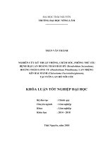 Nghiên cứu kỹ thuật trồng, chăm sóc, phòng trừ sâu bệnh hại lan hoàng thảo báo hỷ 