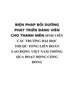 BIỆN PHÁP bồi DƯỠNG PHÁT TRIỂN ĐẢNG VIÊN CHO THANH NIÊN SINH VIÊN các TRƯỜNG đại học THUỘC TỔNG LIÊN đoàn LAO ĐỘNG VIỆT NAM THÔNG QUA HOẠT ĐỘNG CỘNG ĐỒNG 
