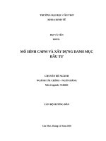 CHUYÊN ĐỀ TÀI CHÍNH NGÂN HÀNG MÔ HÌNH CAPM VÀ XÂY DỰNG DANH MỤC ĐẦU TƯ_CTU`