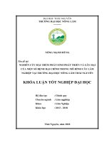 Nghiên cứu đặc điểm phát sinh và gây hại của một số loại bệnh hại chính trong mô hình cây lâm nghiệp tại trường đại học nông lâm thái nguyên   thành phố thái nguyên 