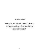 XÂY DỰNG hệ THỐNG CẢNH báo CHÁY RỪNG sớm DÙNG CÔNG NGHỆ cảm BIẾN KHÔNG dây (có code) 