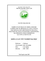 Nghiên cứu kỹ thuật trồng, chăm sóc, phòng trừ sâu bệnh hại các loài lan rừng ngọc điểm đai châu (rhynchostylis gigantea), thạch hộc hoa trắng (flickingeria albopurpurea), hạc đính rừng (phaius mishmensis) 
