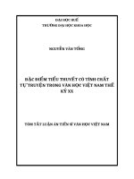 ĐẶC điểm của TIỂU THUYẾT có TÍNH CHẤT tự TRUYỆN TRONG văn học VIỆT NAM THẾ kỷ XX tt