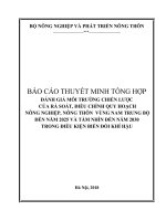 ĐÁNH GIÁ MÔI TRƯỜNG CHIẾN LƯỢC CỦA RÀ SOÁT, ĐIỀU CHỈNH QUY HOẠCH NÔNG NGHIỆP, NÔNG THÔN VÙNG NAM TRUNG BỘ ĐẾN NĂM 2025 VÀ TẦM NHÌN ĐẾN NĂM 2030