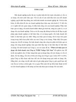 Phân tích hiệu quả sử dụng vốn kinh doanh của Công ty TNHH Nology Việt Nam