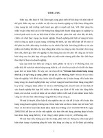 Kế toán bán nhóm hàng trang thiết bị y tế tại Công ty dược phẩm và vật tư y tế Phương Anh