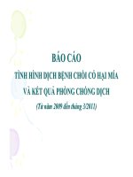 BÁO CÁO TÌNH HÌNH D TÌNH HÌNH DỊCH BỆNH CHỒI CỎ HẠI MÍA VÀ KẾT QUẢ PHÒNG CH PHÒNG CHỐNG DỊCH