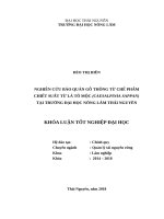 Nghiên cứu bảo quản gỗ thông từ chế phẩm chiết suất từ lá cây tô mộc caesalpinia sappan, tại trường đại học nông lâm thái nguyên 