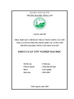 Thực hiện quy trình kỹ thuật nhân giống cây mít thái lan bằng phương pháp ghép tại vườn ươm trường đại học nông lâm thái nguyên 