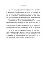 Kế toán bán vật liệu xây dựng tại công ty cổ phần đầu tư Kim Long