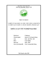 Nghiên cứu đặc điểm cấu trúc, trữ lượng cacbon rừng tự nhiên tại xã nghĩa tá   huyện chợ đồn   tỉnh bắc kạn 