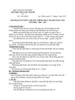 ke hoach phat thanh mang non