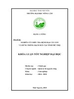 Nghiên cứu điều tra bệnh hại cây con và rừng trồng bạch đàn tại tỉnh phú thọ 