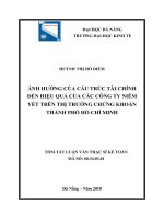 Ảnh hưởng của cấu trúc tài chính đến hiệu quả của các công ty niêm yết trên Thị trường chứng khoán thành phố Hồ Chí Minh_2