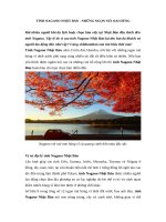 TỈNH NAGANO NHẬT bản   KIỀU QUANG hải 