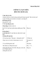 Giáo án Tiếng Việt 2 tuần 4 bài: Chính tả  Tập chép: Bím tóc đuôi sam. Phân biệt IÊYÊ, RDGI, ÂNÂNG