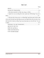 Ngày 24072010, nguyễn trọng điệp (sinh năm 1976), vợ là nguyễn thị nga (sinh năm 1978) thuê một chiếc taxi của hãng mai linh và thuê lương thị ngoạn 