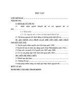 phân tích nguyên tắc bình đẳng và không phân biệt đối xử đối với người khuyết tật(9đ) 