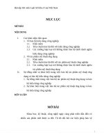 Phân tích sự đồng nhất và khác biệt trong việc bảo hộ tác phẩm mỹ thuật ứng dụng và bảo hộ kiểu dáng công nghiệp 