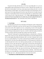 Bài tập nhóm sở hữu trí tuệ   bảo hộ nhãn hiệu hàng hóa ở nước ngoài 