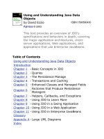 Using and understanding java data objects 2003 
