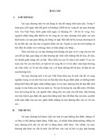 Bài tập học kỳ pháp luật về quyền trẻ em   tình trạng tai nạn, thương tích của trẻ em và trách nhiệm của gia đình trước thực trạng này 