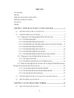 Nghiên cứu công nghệ chế tạo dây và cột nano silic trên cơ sở công nghệ vi cơ điện tử