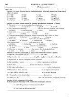 DE+ DAP AN+ MA TRAN  bai 1 tiet so 1 lop 10