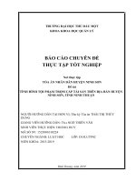 Báo cáo thực tập tình hình tội phạm trộm cắp tài sản trên địa bàn huyện ninh sơn, tỉnh ninh thuận