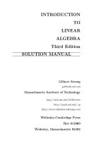 Introsduciton to linear algebra 3rd solution manual 