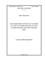 Hoàn thiện kiểm toán báo cáo tài chính các công ty cổ phần than do công ty kiểm toán độc lập ở việt nam thực hiện 