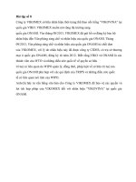 Sở hữu trí tuệ trong thương mại quốc tế  bài tập tình huống công ty VIKOMEX sở hữu nhãn hiệu thời trang thể thao nổi tiếng “VIKOVINA” tại quốc gi 