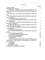 Trách nhiệm bồi thường thiệt hại do nguồn nguy hiểm cao độ gây ra thực tiễn, giải pháp và một số kiến nghị hoàn thiện pháp luật 