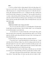 Bài tập nhóm 1 hình sự 2   8 điểm 