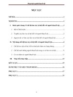 Chế độ bảo trợ xã hội đối với người khuyết tật và thực tiễn thực hiện (kèm phụ lục) 