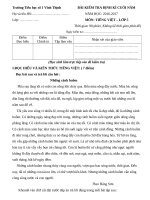 ĐỀ THI TIẾNG VIỆT LỚP 5