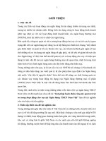 Giải pháp hoàn thiện công tác quản trị rủi ro trong hoạt động cho vay tại ngân hàng TMCP nam việt 