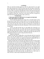 phân tích các cơ sở và ý nghĩa của việc đặt ra các nguyên tắc đánh thuế   hãy làm rõ các mức độ thể chế hóa các nguyên tắc đánh thuế đó trong pháp luậ 