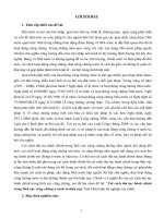 Cải cách thủ tục hành chính trong lĩnh vực công chứng ở nước ta hiện nay 