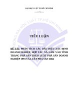 Phân tích các dấu hiệu xác định DN,HTX lâm vào tình trạng phá sản (19 trang) 