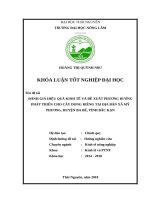 Đánh giá hiệu quả kinh tế và đề xuất phương hướng phát trển cho cây dong riềng trên địa bàn xã mỹ phương   huyện ba bể   tỉnh bắc kạn 