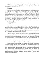 ẬN CHUYỂN HÀNG KHÔNG phân tích những nội dung pháp lý cơ bản của hợp đồng vận chuyển hàng hóa bằng đường hàng không quốc tế (word) 
